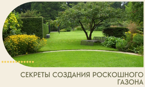 Секреты создания роскошного газона в Бирске