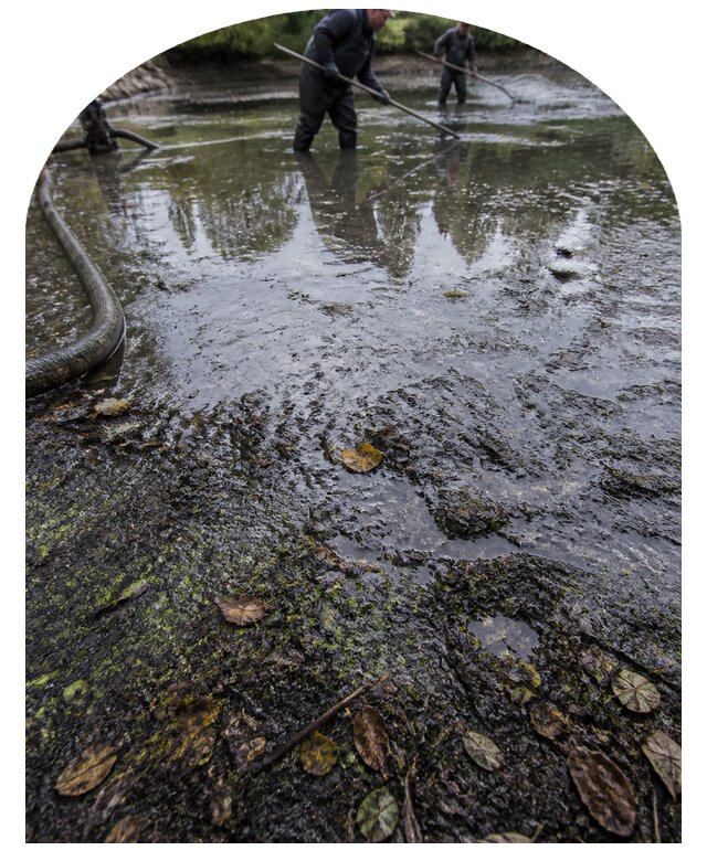 Очистка пруда в Бирске от ила мусора и водорослей с вывозом